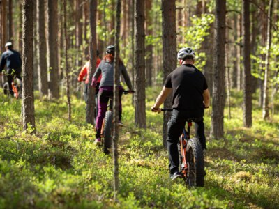 e-fatbike safari, SAVITAIPALE