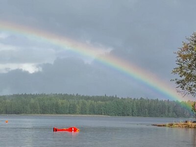 Elämyskellunta