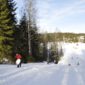 DSC1039.jpg