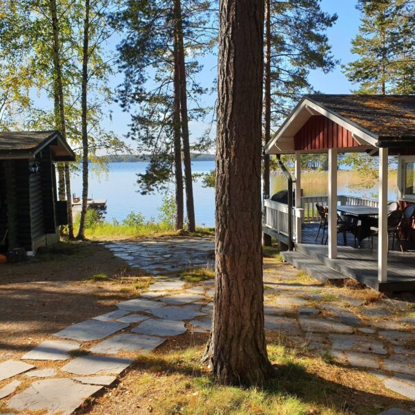 Nestorin-maja-ja-sauna-jarvelle.jpg