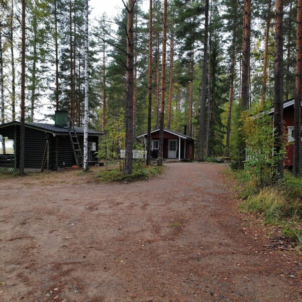 Nestorin-maja-tielta-pain.jpg