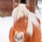 Tuhannentarinantalo_talvi-3533.jpg