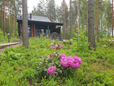 Mökki "Villa Hauki", Lintusalo, Puumala