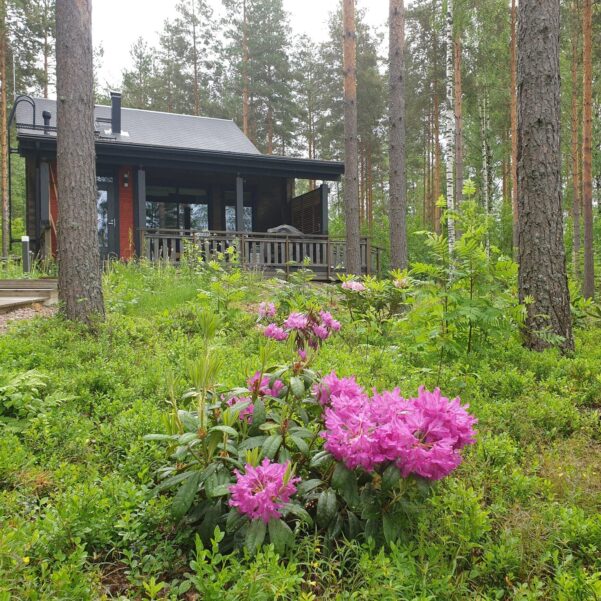 Villa_Hauki_toukokuu.jpg